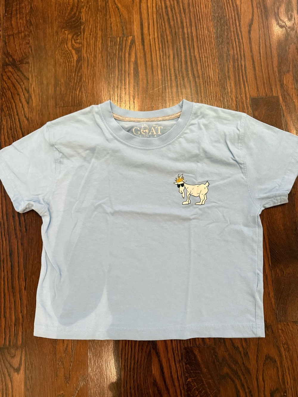 Light Blue Long Sleeve Tee with Goat Graphic - GOAT